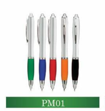 pm01