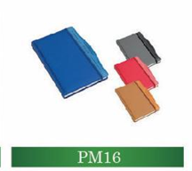 pm16