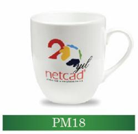 pm18