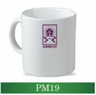 pm19