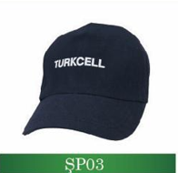 SP03