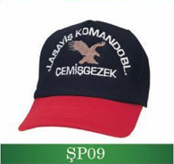 SP09