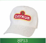 SP13
