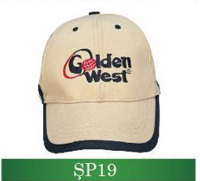 SP19
