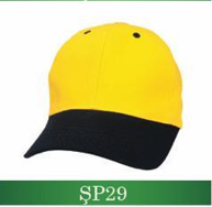 sp29
