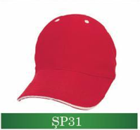 sp31