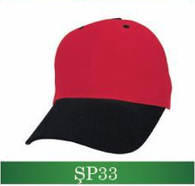sp33