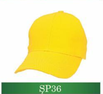 sp36