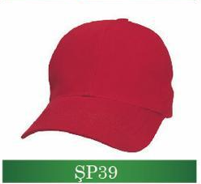 sp39