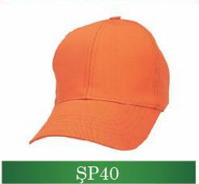 sp40