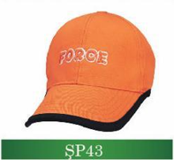 sp43