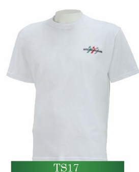 TS17
